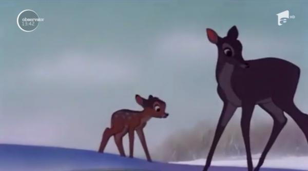 Un braconier din SUA a primit ca pedeapsă vizionarea filmului "Bambi"