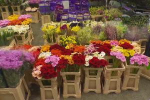 Exclusiv: ”Wall Street-ul florilor”, bursa din Olanda unde florile se vând în 5 secunde