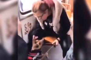 Fata care şi-a bătut cu ură câinele în tramvai, amendată cu 2000 de lei