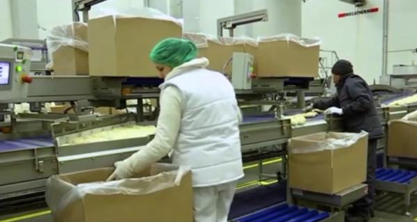 Vietnamezii au ajuns să ambaleze pâinea românească