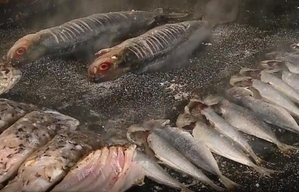 Dezlegare la pește din import, de Bunavestire. Pescuitul, industrie pe cale de dispariție în România