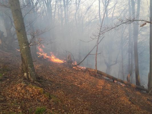 Trei oameni au murit în incendii de vegetație, în doar 24 de ore, în Mureș și Maramureș