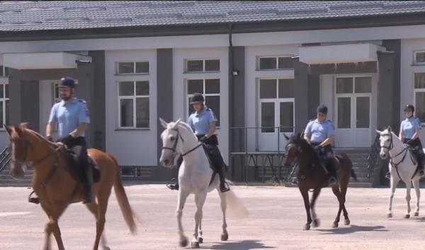 Caii Jandarmeriei, antrenați să nu se sperie de focuri de armă și chiar să treacă prin foc