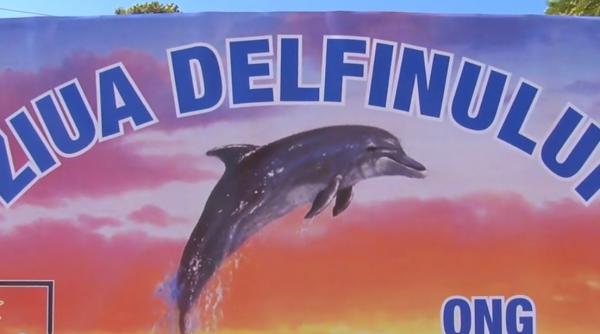 Delfinii, sărbătoriţi pe faleza din Constanţa de ziua lor