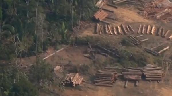 Uriaşele incendii de vegetaţie din Amazon pot accelera încălzirea globală