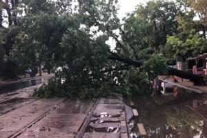 Imagini dramatice după furtuna din București. Copaci rupți și străzi inundate (Video)