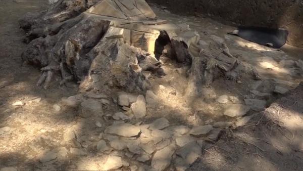 O nouă descoperire arheologică la Sarmizegetusa Regia