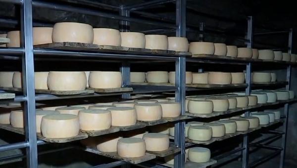 Într-o peşteră din judeţul Cluj se produce o brânză unică în lume