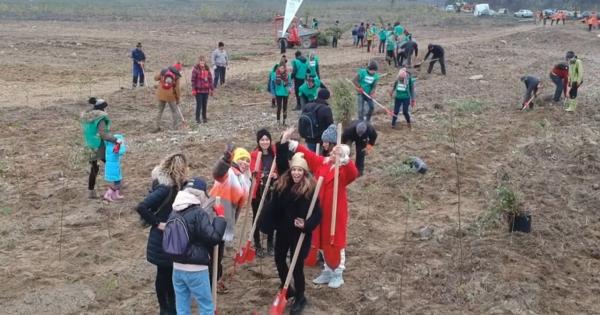 Zece mii de copaci au fost plantați de voluntari, în Prahova, între care Randi şi Alexandra Stan