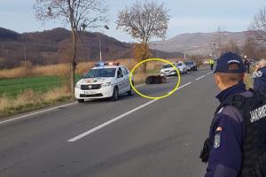 Un urs lovit de maşină, pe o şosea din Harghita, agonizează de 15 ore la locul accidentului (Video)