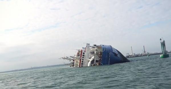 Nava plină cu oi scufundată în Midia, o bombă ecologică, avertizează specialiștii