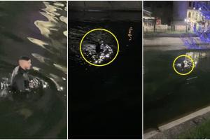 Primele imagini cu şoferul BMW-ului X6 în râul Dâmboviţa, unde s-a scufundat ca să se ascundă de poliţişti (Video)