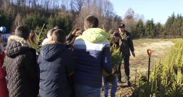 Copiii unei şcoli din Argeş au primit de la silvicultori câte un pui de brad pe care să-l crească