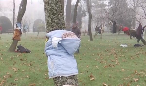 Copacii din Parcul Central din Timişoara sunt îmbrăcați în haine pentru nevoiaşi