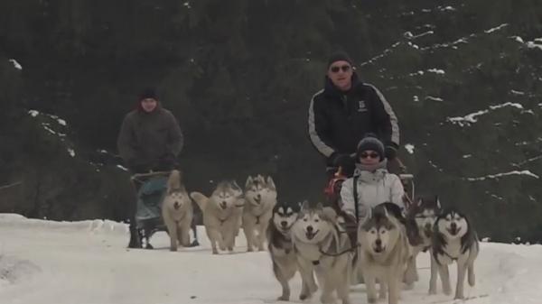 Plimbare cu sania trasă de câini Husky, la polul frigului din România