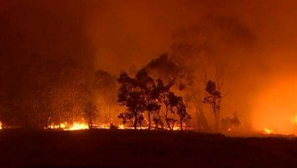 Stare de urgență în capitala Australiei, din cauza incendiilor de vegetație