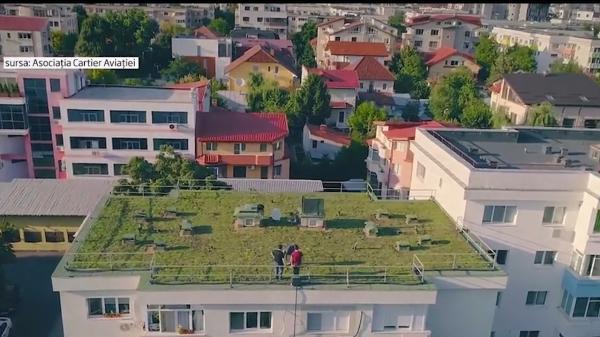 Clădirile verzi, prietenoase cu mediul, își fac loc timid în orașele românești