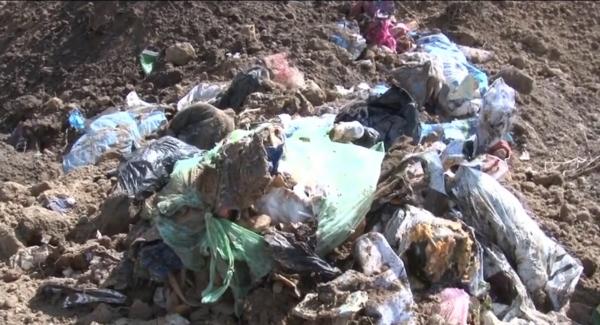 Mormane de gunoaie, îngropate de angajaţii de la salubritate pe un câmp din satul Bărăitaru