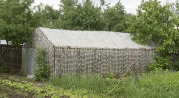 Solarul din peturi de plastic, invenția unui legumicultor din Neamţ