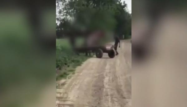Cal bătut cu bestialitate de doi bărbaţi, în Suceava (Video)