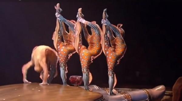 Legendarul Cirque du Soleil a apus din cauza pandemiei