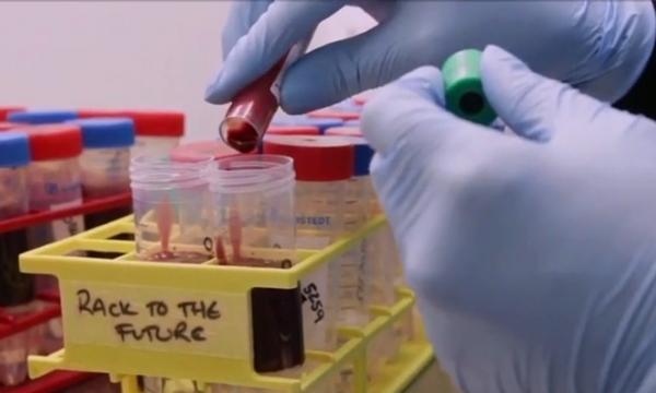 S-a întrerupt testarea vaccinului AstraZeneca - Oxford, după ce un voluntar s-a îmbolnăvit grav