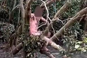 Fugar, salvat de doi pescari, în Australia. Bărbatul dezbrăcat se urcase într-un copac, deasupra unui lac plin cu crocodili