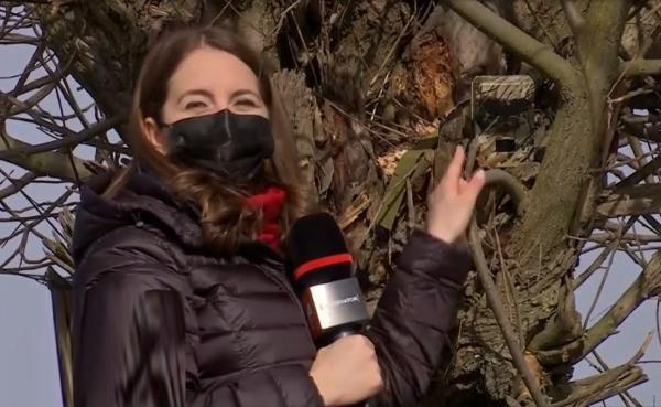 Un primar din Gorj a montat camere video în copaci ca să scape de gunoaiele aruncate la întâmplare