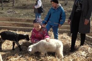 Raiul celor mici, într-un sat din Harghita. Copiii se pot juca și hrăni animalele pe care, cei mai mulți le-au văzut doar în cărți