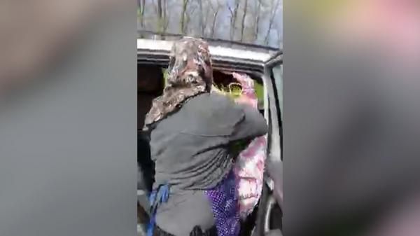 Femeie prinsă în timp ce îndesa sacoșe pline cu bujori, specie protejată în țară, în mașină: "E rezervaţie aici! Vă dau la Poliţie"