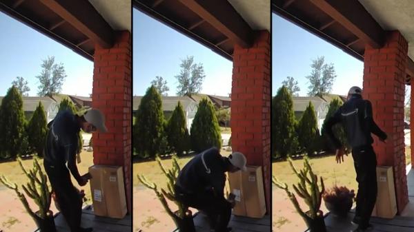 Un curier din California a fost implicat într-un incident dureros cu un cactus, iar imaginile au devenit virale