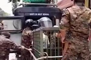 Panică într-o casă din India. Un leopard s-a refugiat pe scara locuinţei, la scurt timp după ce a rănit trei oameni