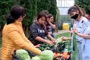 Elevii unui liceu din Maramureş cultivă legume, pe care le scot apoi la vânzare