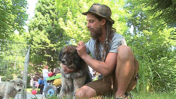 Un austriac a mers 1.300 de kilometri pe jos ca să strângă bani pentru adăpostul de câini din Reghin