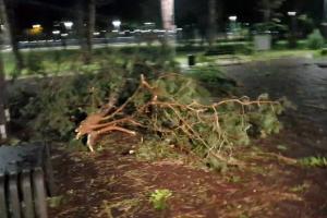 O furtună puternică a făcut prăpăd, noaptea trecută, în Cluj-Napoca: "Am 57 de ani şi aşa ceva încă n-am văzut"