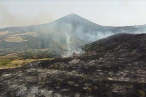 Grecia, devastată de incendii. Flăcări de peste 30 de metri au înconjurat o mănăstire de pe Evia: trei călugări refuză să plece