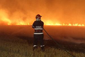 Un incendiu de vegetație a izbucnit la Corbeanca, lângă București