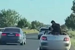 Un bărbat a fost filmat în timp ce se ridică în picioare pe bancheta unei decapotabile, pe E85. O fetiţă îi imită gestul