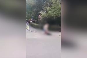 Tânără snopită în bătaie, pe o stradă din Târgu Jiu. Fata a fost lovită fără milă cu pumnii și picioarele, sub ochii trecătorilor