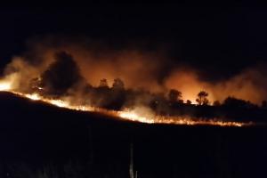 Incendiu de proporții, ard sute de hectare de vegetație uscată la Hinova, în Mehedinți. Focul ameninţă să ajungă şi la casele sătenilor