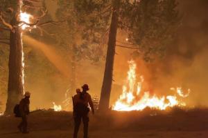 Sute de kilometri pătraţi de pădure, mistuiți de flăcări în California. Incendiul uriaș amenință o importantă zonă turistică