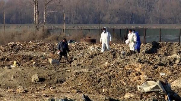 Bombă ecologică ce mocneşte în pâmânt de 10 ani: dosarul "Cimitirul animalelor" a ajuns pe masa judecătorilor
