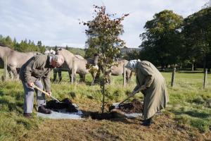 Regina Elisabeta şi Prinţul Charles au dat startul viitorului jubileu de platină prin plantarea unui copac