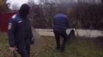 Un câine de luptă a semănat teamă într-un cartier din Arad. O femeie s-a trezit cu animalul în curte
