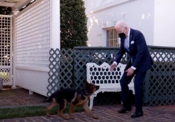 Președintele american Joe Biden are un nou cățel, primit cadou din partea fratelui său