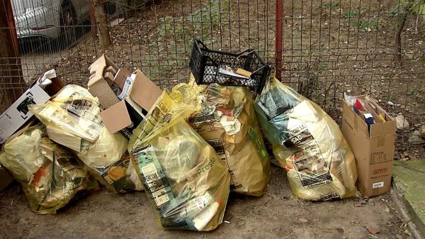 Reguli şi taxe noi pentru gunoi, în Bucureşti: Cât vom plăti dacă vom colecta selectiv gunoiul