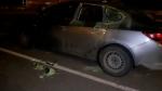 Alertă în Timișoara, după ce un pistol și un încărcător cu 18 cartușe au fost furate din mașina unui fost jandarm