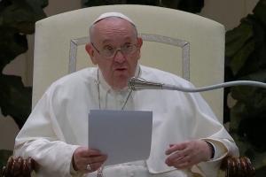 Papa Francisc îi îndeamnă pe oameni să adopte copii şi să nu îşi reverse afecţiunea doar pe animale