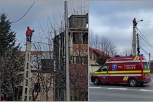 Autorităţile în alertă, în faţa casei lui Gigi Becali, din Pipera. Un bărbat s-a căţărat pe un stâlp de electricitate