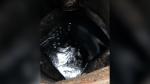 Bombă ecologică: Deversare de zeci de litri de păcură direct în canalizarea din Alexandria | Reacția MApN